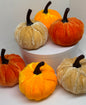 6 Pack Velvet Pumpkin