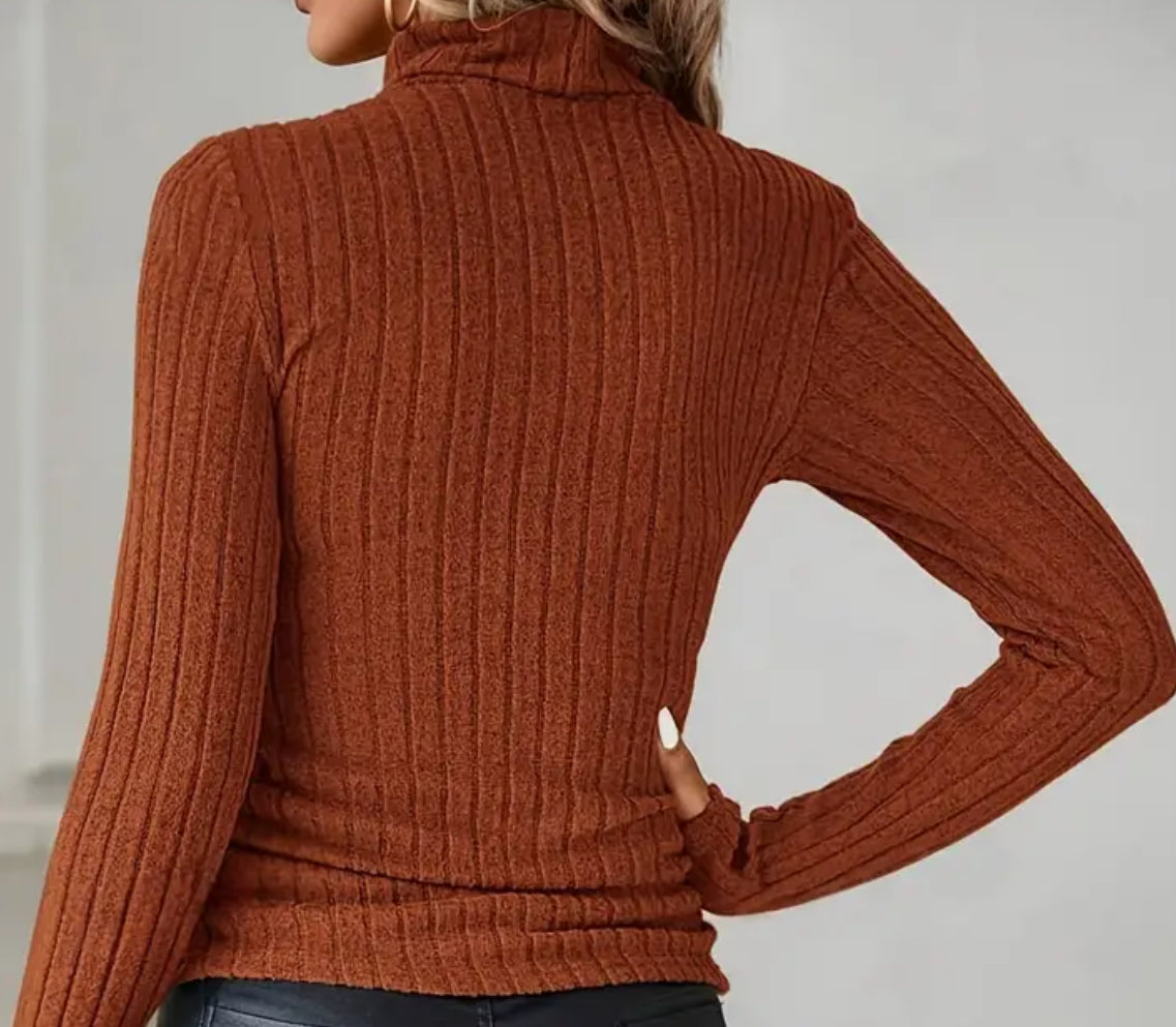 Turtle Neck Long Sleeve Knitted Top